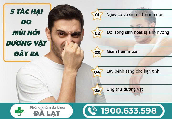 Hình ảnh minh họa